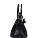 Hermes Birkin 25 Black Shiny Varanus Niloticus Lizard PHW