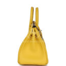 Hermes Birkin 25 Jaune de Naples Swift PHW