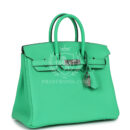 Hermes Birkin 25 Vert Comics Togo PHW