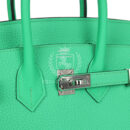 Hermes Birkin 25 Vert Comics Togo PHW