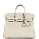 Hermes Birkin 25 Beton Matte Alligator GHW