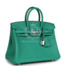 Hermes Birkin 25 Vert Vertigo Verso Swift PHW