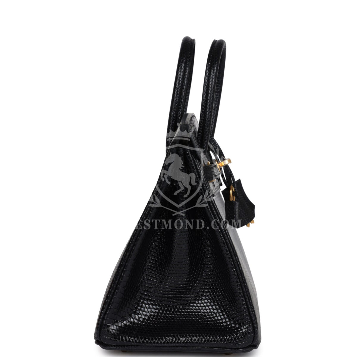 Hermes Birkin 25 Black Shiny Varanus Niloticus Lizard GHW — изображение 3