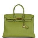 Hermes Birkin 35 Vert Anis Verso Togo GHW