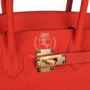 Hermes Birkin 30 Capucine Togo GHW
