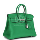 Hermes Birkin 25 Bambou Togo PHW