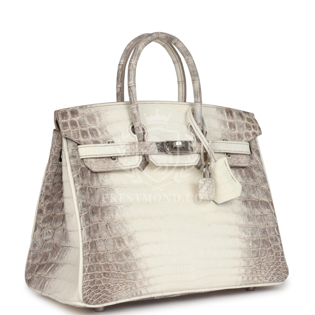 Hermes Birkin 25 Himalaya Niloticus Crocodile PHW — изображение 2