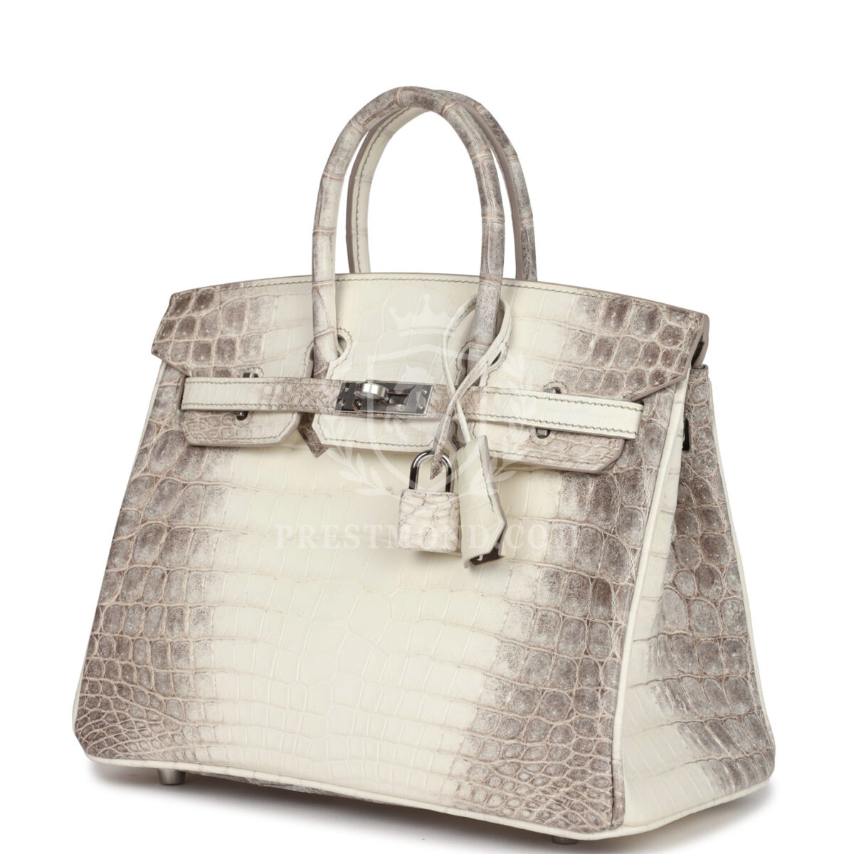 Hermes Birkin 25 Himalaya Niloticus Crocodile PHW — изображение 5