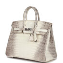 Hermes Birkin 25 Himalaya Niloticus Crocodile PHW