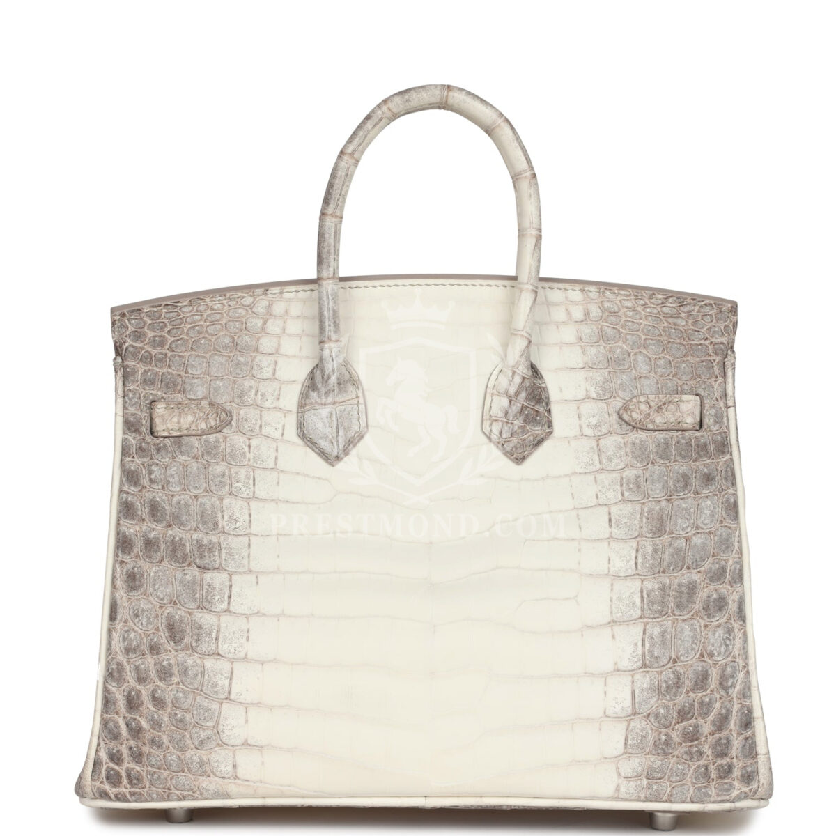 Hermes Birkin 25 Himalaya Niloticus Crocodile PHW — изображение 4