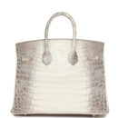 Hermes Birkin 25 Himalaya Niloticus Crocodile PHW