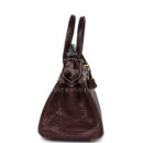 Hermes Birkin 25 Rouge Sellier Matte Porosus Crocodile GHW