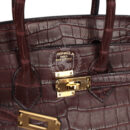 Hermes Birkin 25 Rouge Sellier Matte Porosus Crocodile GHW