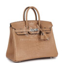 Hermes Birkin 25 Chai Matte Alligator PHW
