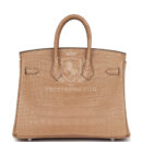 Hermes Birkin 25 Chai Matte Alligator PHW