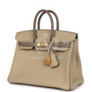 Hermes Special Order (HSS) Birkin 25 Etoupe and Trench Togo Brushed GHW