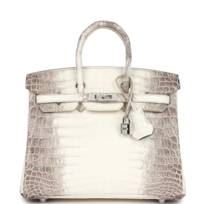 Hermes Birkin 25 Himalaya Niloticus Crocodile Diamond Encrusted PHW