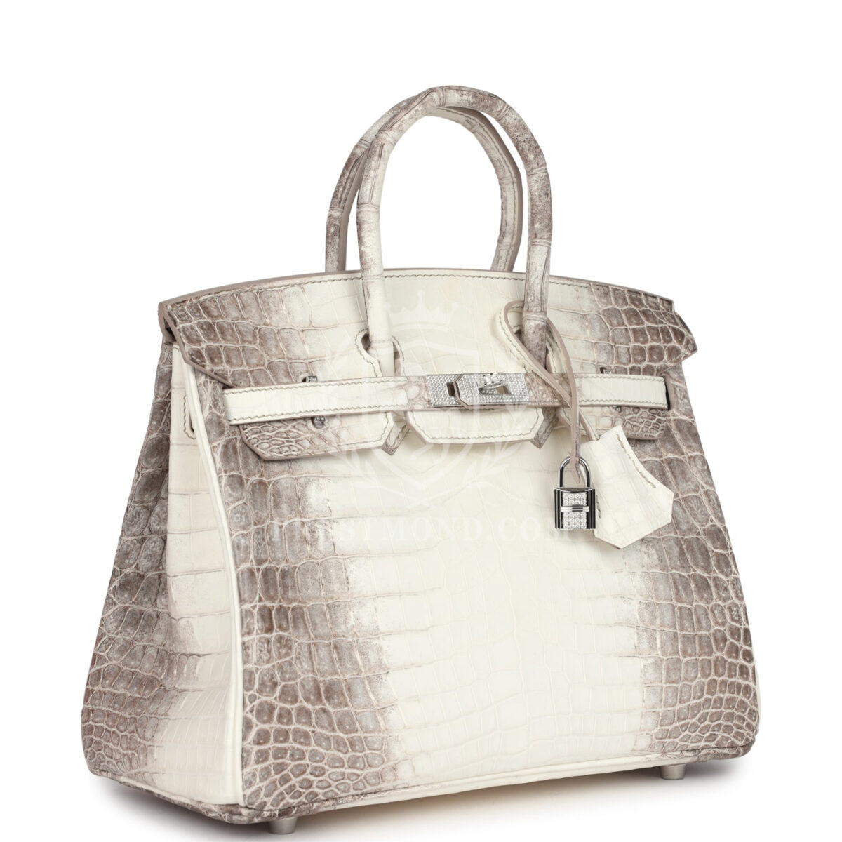 Hermes Birkin 25 Himalaya Niloticus Crocodile Diamond Encrusted PHW — изображение 2