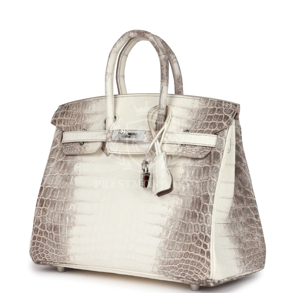 Hermes Birkin 25 Himalaya Niloticus Crocodile Diamond Encrusted PHW — изображение 5