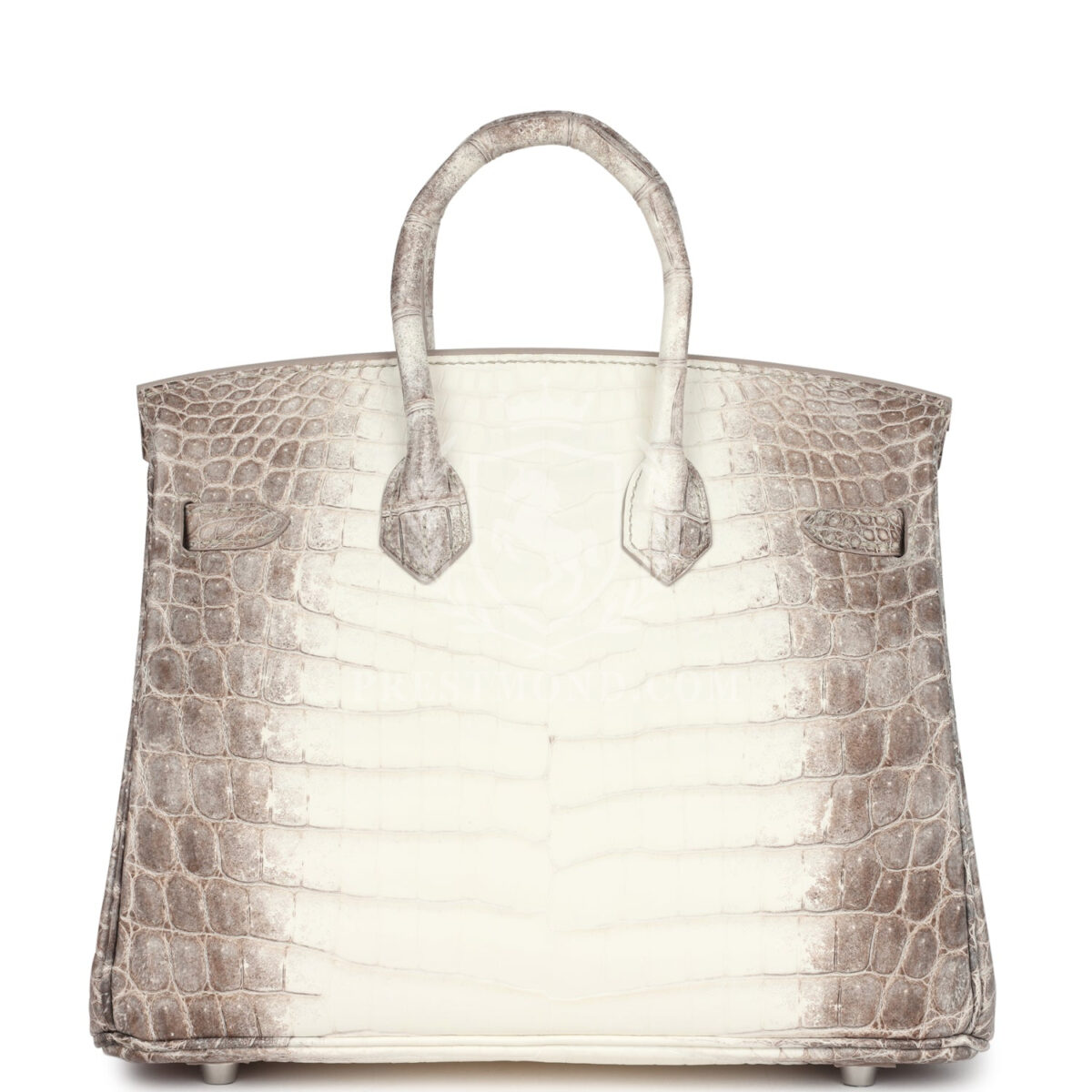 Hermes Birkin 25 Himalaya Niloticus Crocodile Diamond Encrusted PHW — изображение 4