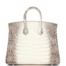Hermes Birkin 25 Himalaya Niloticus Crocodile Diamond Encrusted PHW