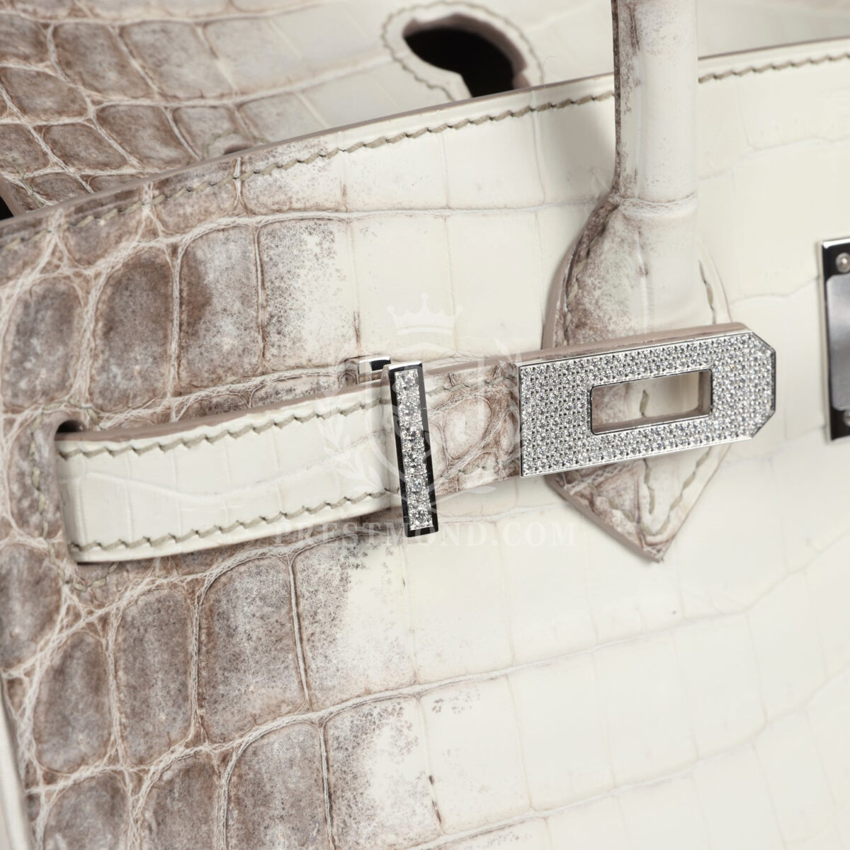 Hermes Birkin 25 Himalaya Niloticus Crocodile Diamond Encrusted PHW — изображение 8