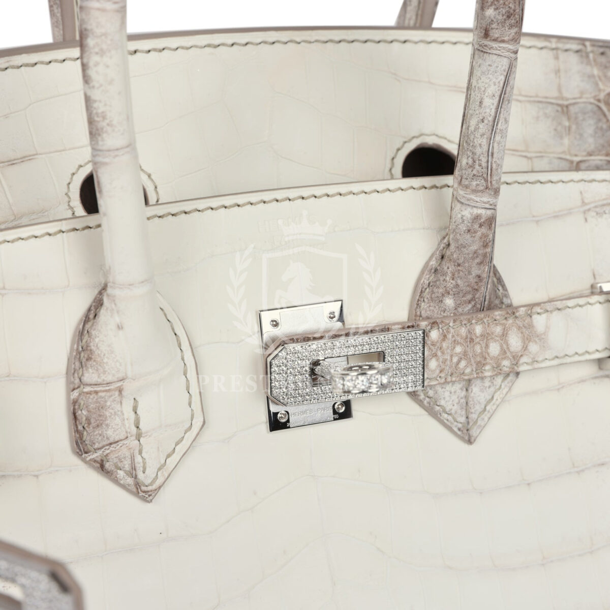 Hermes Birkin 25 Himalaya Niloticus Crocodile Diamond Encrusted PHW — изображение 9