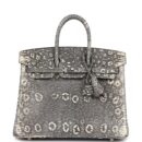 Hermes Birkin 25 Ombre Varanus Salvator Lizard PHW