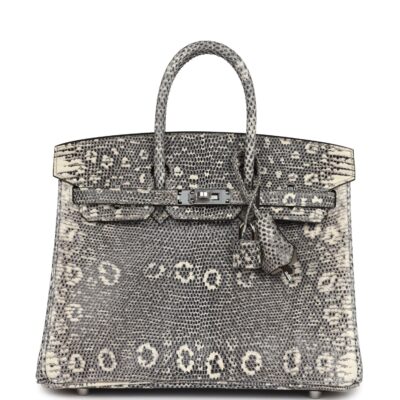 Hermes Birkin 25 Ombre Varanus Salvator Lizard PHW
