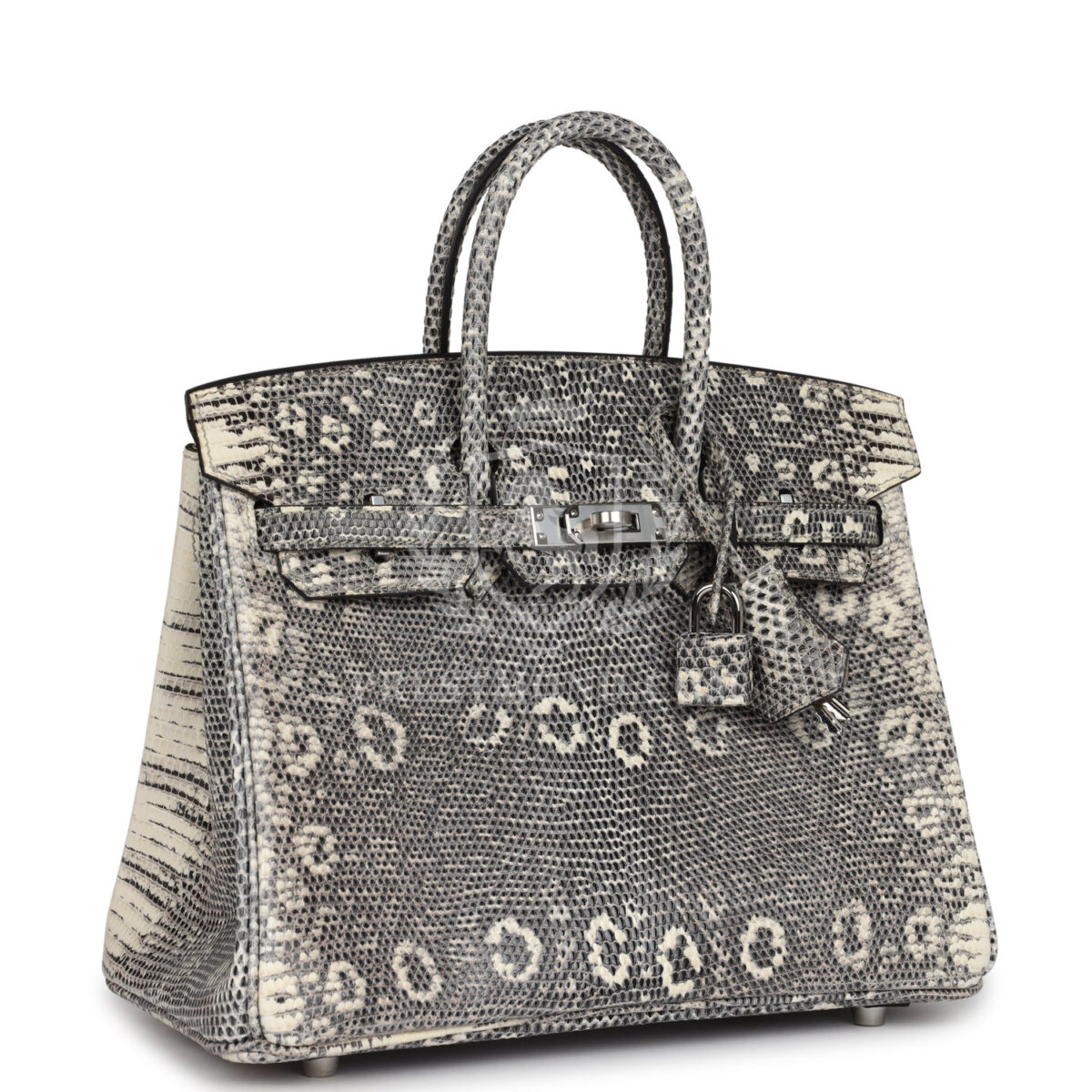 Hermes Birkin 25 Ombre Varanus Salvator Lizard PHW — изображение 2
