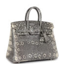 Hermes Birkin 25 Ombre Varanus Salvator Lizard PHW