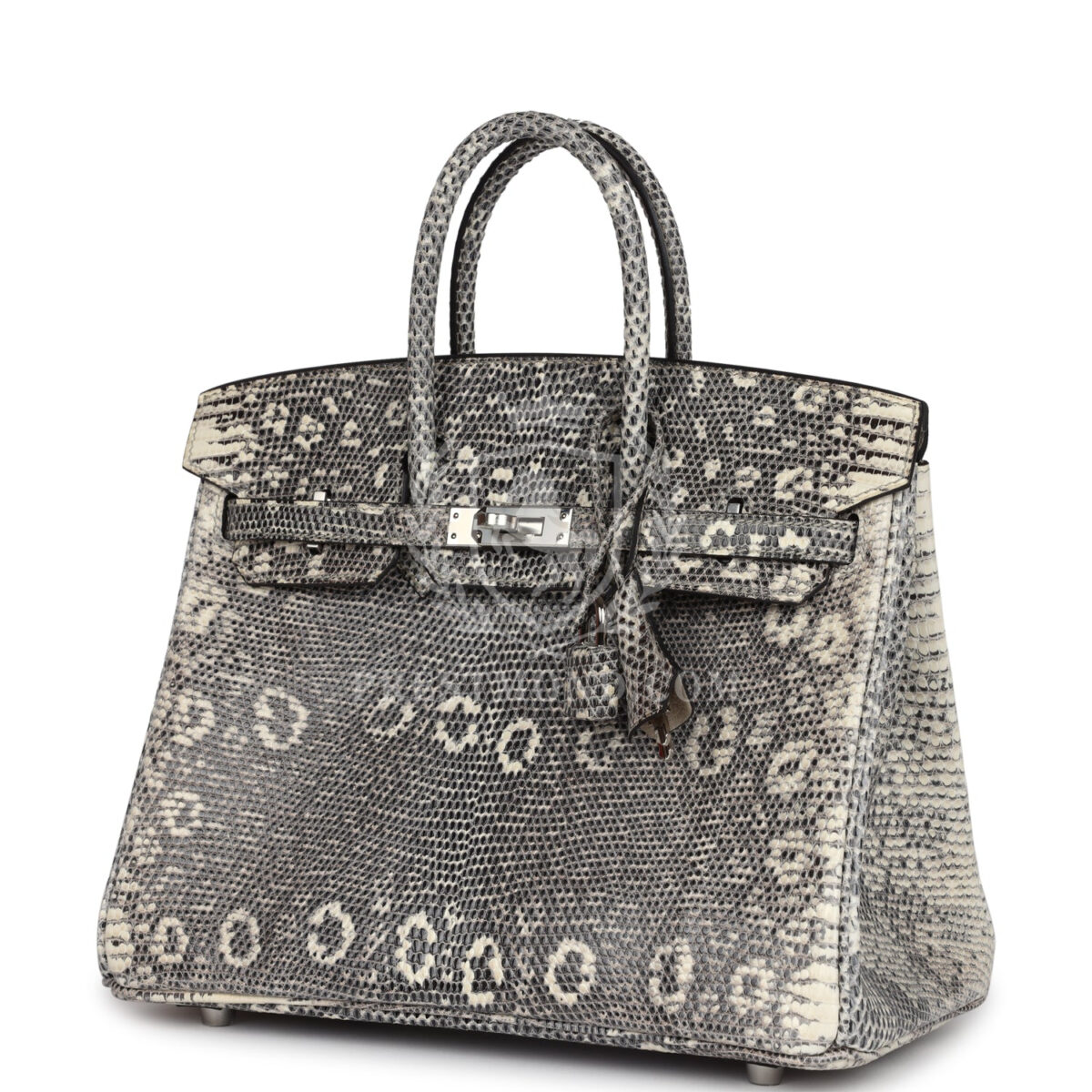 Hermes Birkin 25 Ombre Varanus Salvator Lizard PHW — изображение 5
