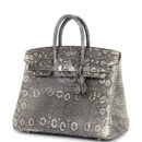 Hermes Birkin 25 Ombre Varanus Salvator Lizard PHW