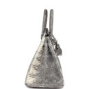Hermes Birkin 25 Ombre Varanus Salvator Lizard PHW