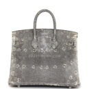 Hermes Birkin 25 Ombre Varanus Salvator Lizard PHW