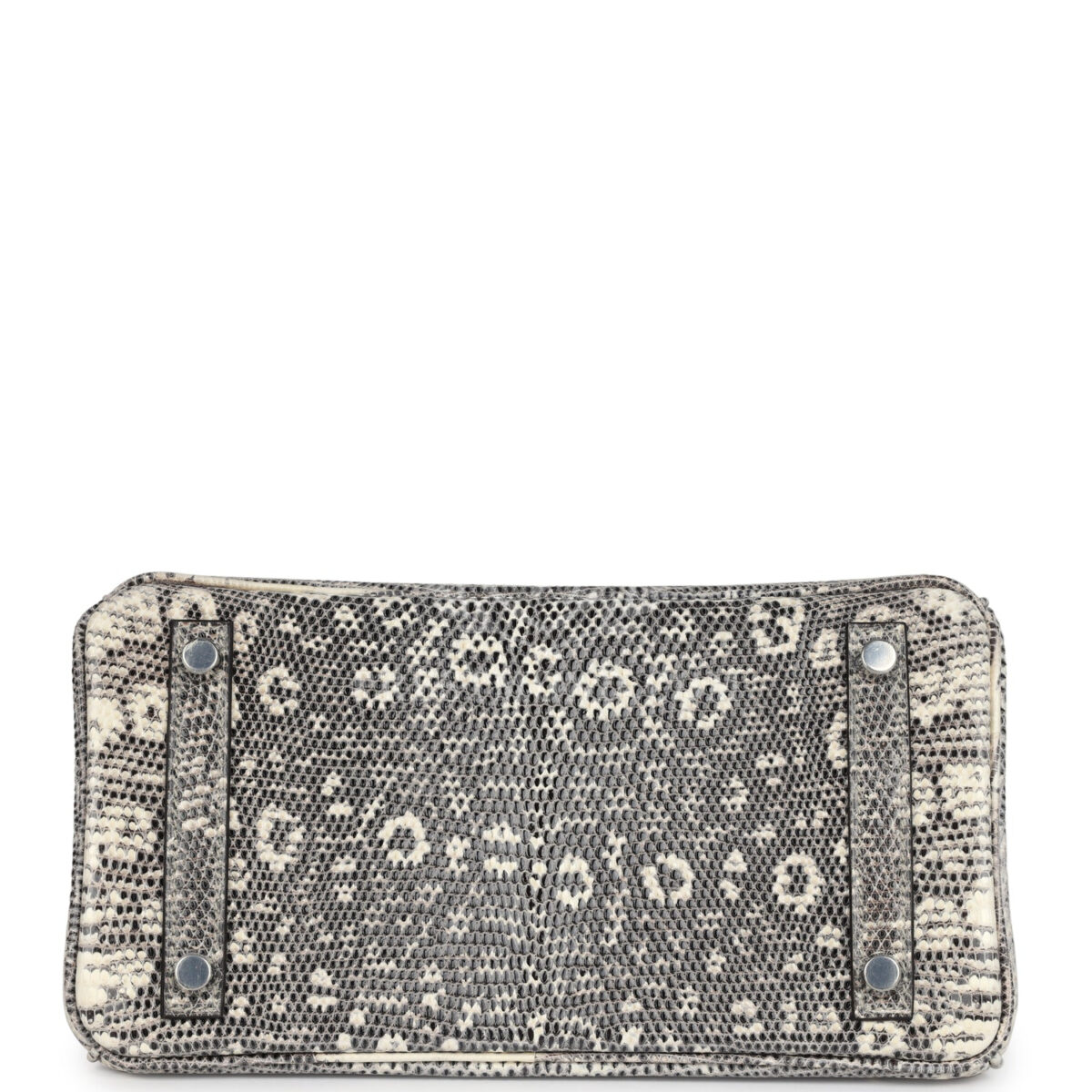 Hermes Birkin 25 Ombre Varanus Salvator Lizard PHW — изображение 6