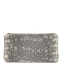 Hermes Birkin 25 Ombre Varanus Salvator Lizard PHW