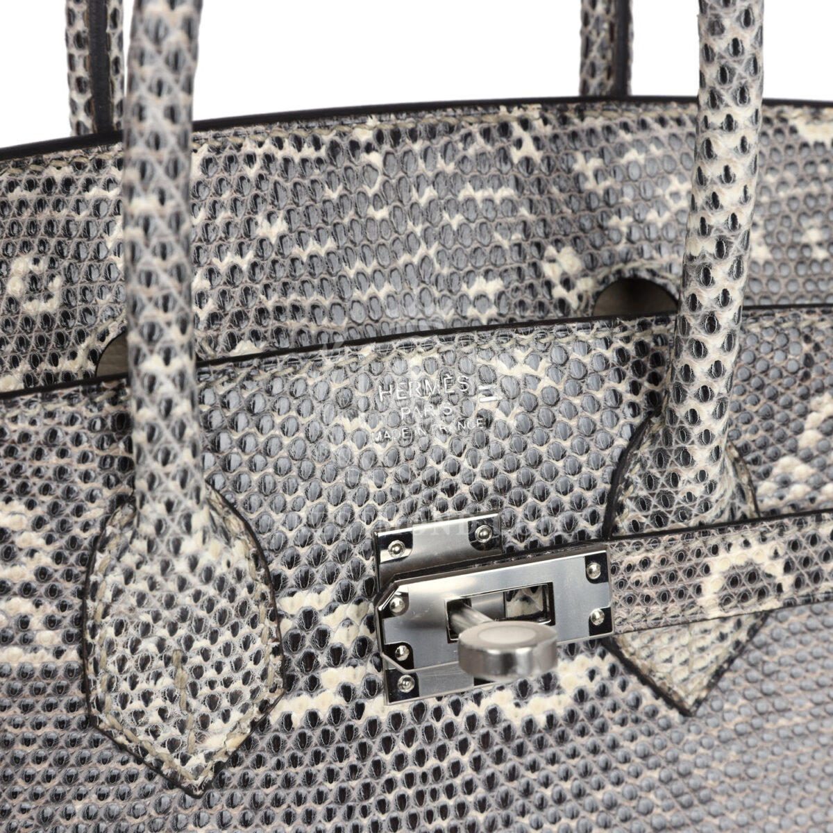 Hermes Birkin 25 Ombre Varanus Salvator Lizard PHW — изображение 7