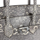 Hermes Birkin 25 Ombre Varanus Salvator Lizard PHW