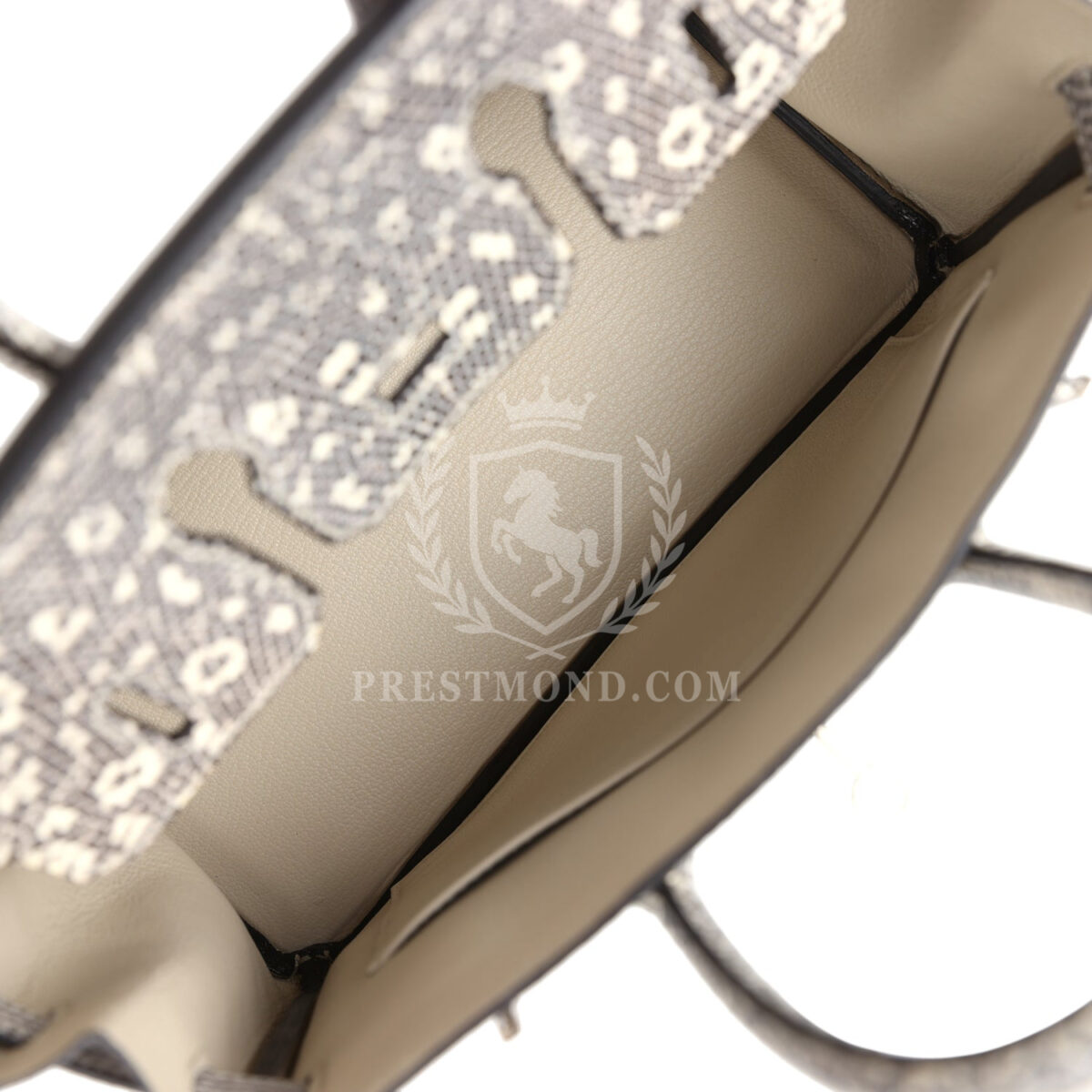 Hermes Birkin 25 Ombre Varanus Salvator Lizard PHW — изображение 8