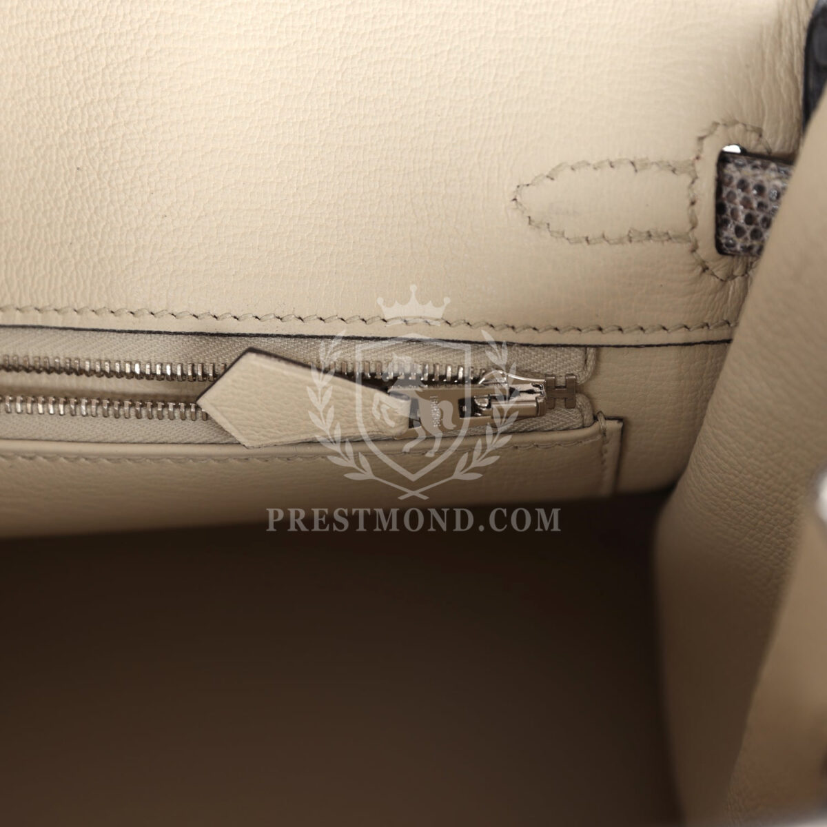 Hermes Birkin 25 Ombre Varanus Salvator Lizard PHW — изображение 9