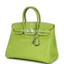 Hermes Birkin 35 Kiwi Candy Epsom PHW