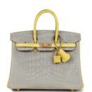 Hermes Special Order (HSS) Birkin 25 Gris Perle and Mimosa Matte Alligator Brushed GHW