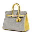 Hermes Special Order (HSS) Birkin 25 Gris Perle and Mimosa Matte Alligator Brushed GHW