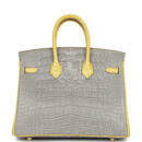 Hermes Special Order (HSS) Birkin 25 Gris Perle and Mimosa Matte Alligator Brushed GHW