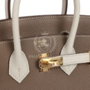 Hermes Special Order (HSS) Birkin 25 Etoupe and Craie Togo GHW