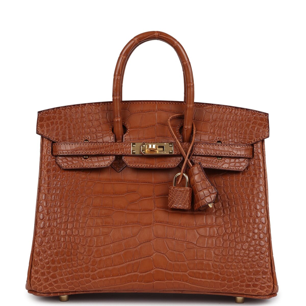 Hermes Birkin 25 GHW Matte Alligator GHW