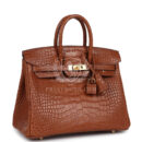 Hermes Birkin 25 GHW Matte Alligator GHW