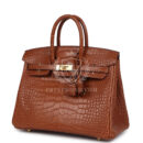 Hermes Birkin 25 GHW Matte Alligator GHW