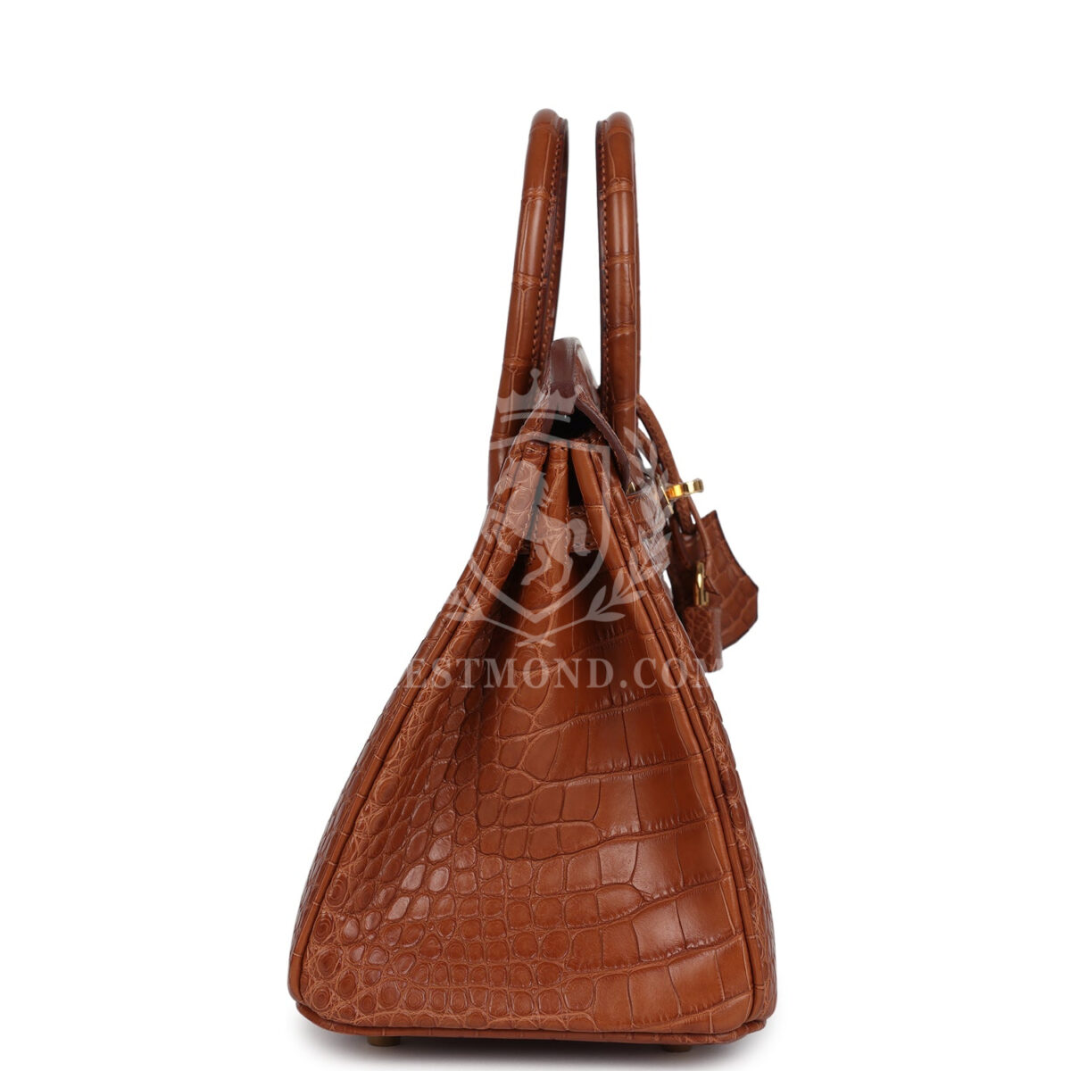 Hermes Birkin 25 GHW Matte Alligator GHW — изображение 3